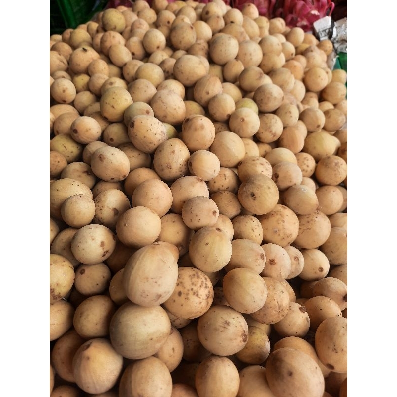 

Duku Palembang/500 gr/1 kg