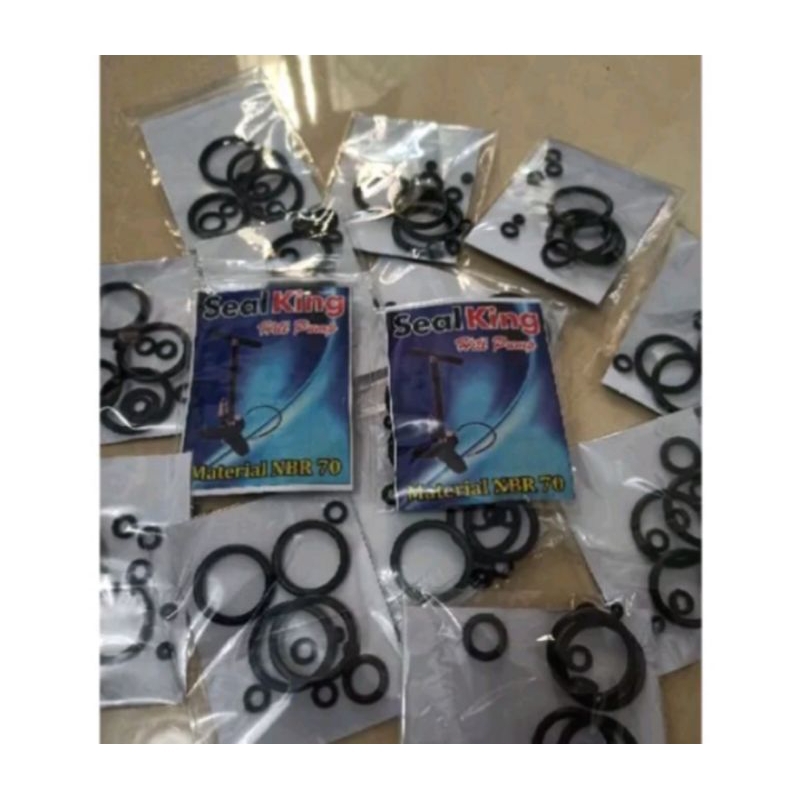 sil pompa PCP Set/oring pompa PCP set