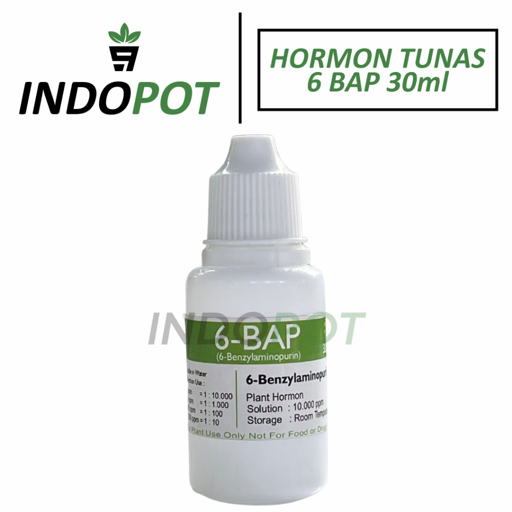 Hormon Anggrek 6 BAP Hijau Benzylaminopurine Pemicu Pertumbuhan Dan Perkembangan Tanaman Hias Pupuk