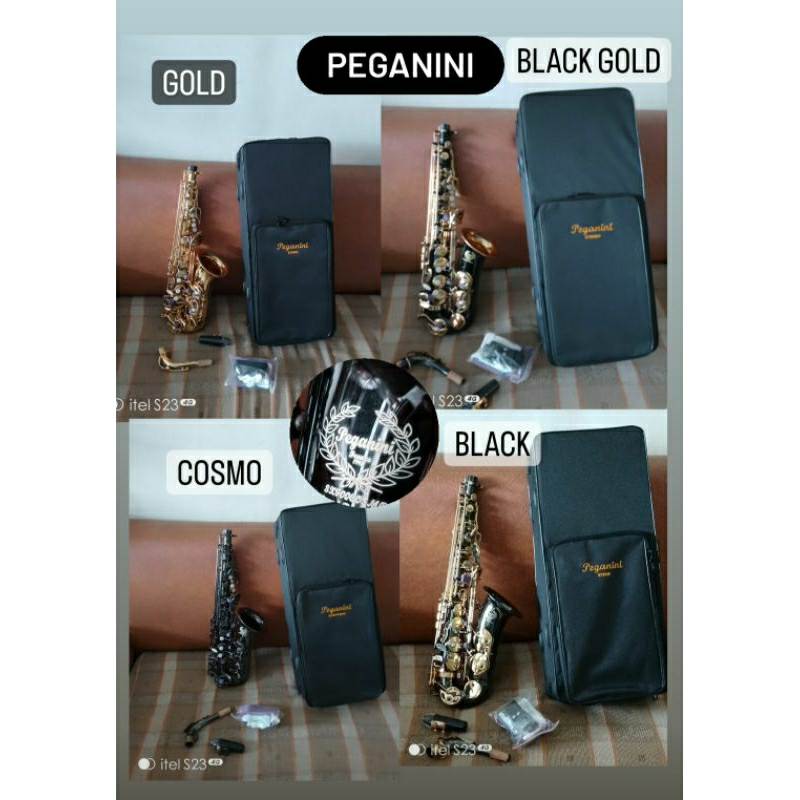 Saxophone Alto Peganini by Frederick SX900 limited editions