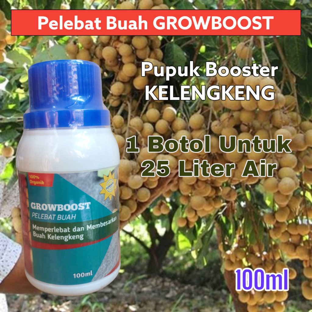 Pupuk Buah Kelengkeng Premium Organik GrowBoost Buah Kelengkeng 100ml