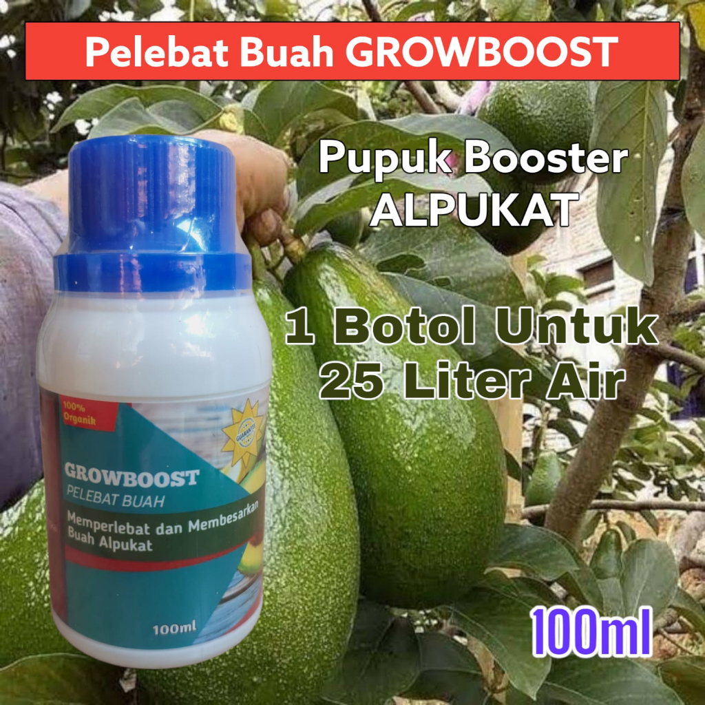 Pupuk Buah Alpukat Premium Organik GrowBoost Buah Alpukat 100ml