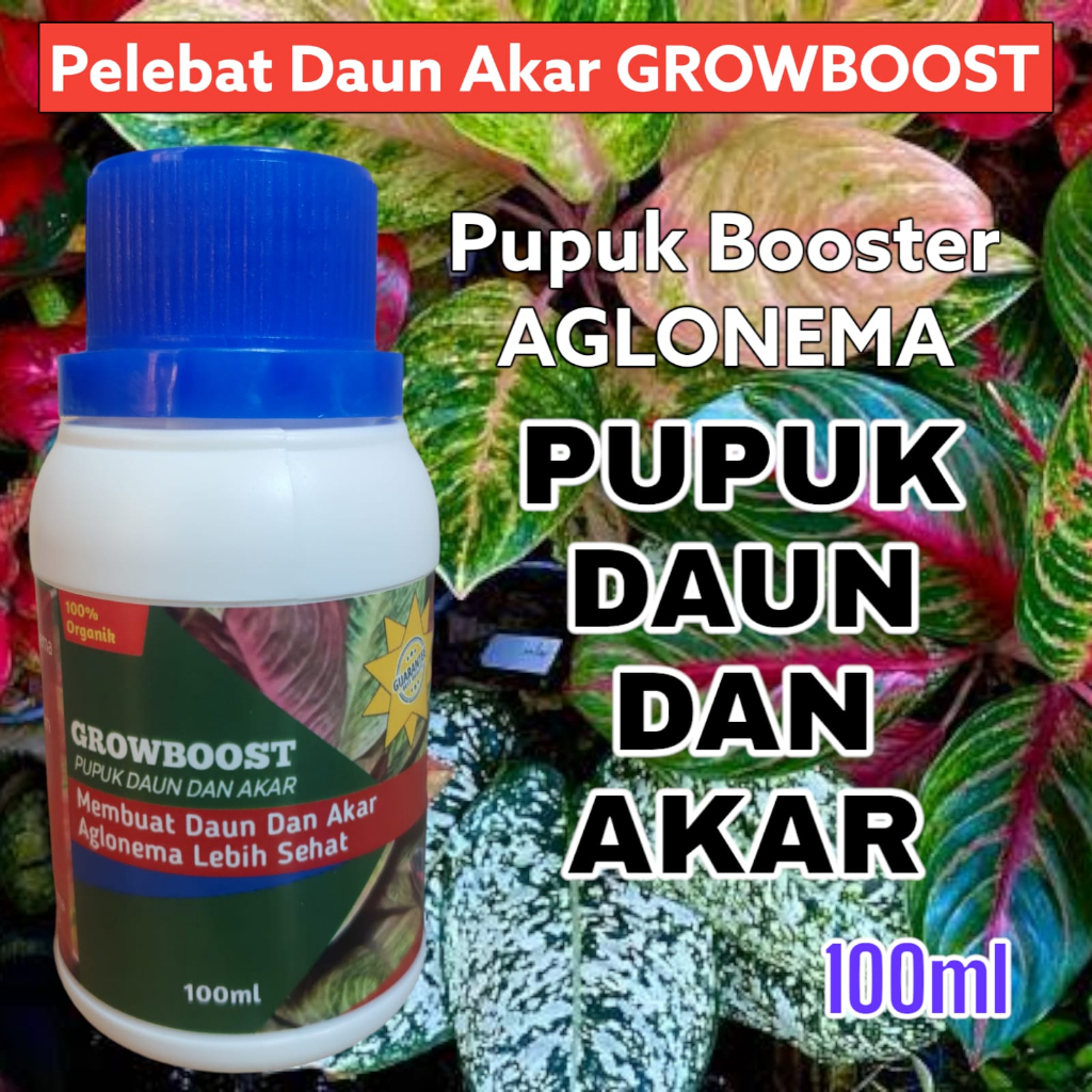 Pupuk Aglonema Premium Organik GrowBoost Pupuk Tanaman Hias 100ml