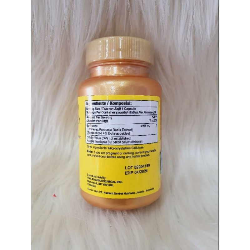 NATURE HEALTH ECHINACEA