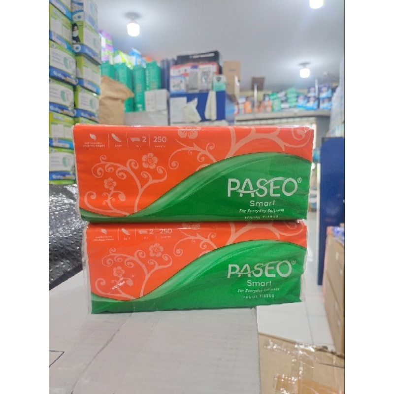 tissue kering tissue paseo pillow