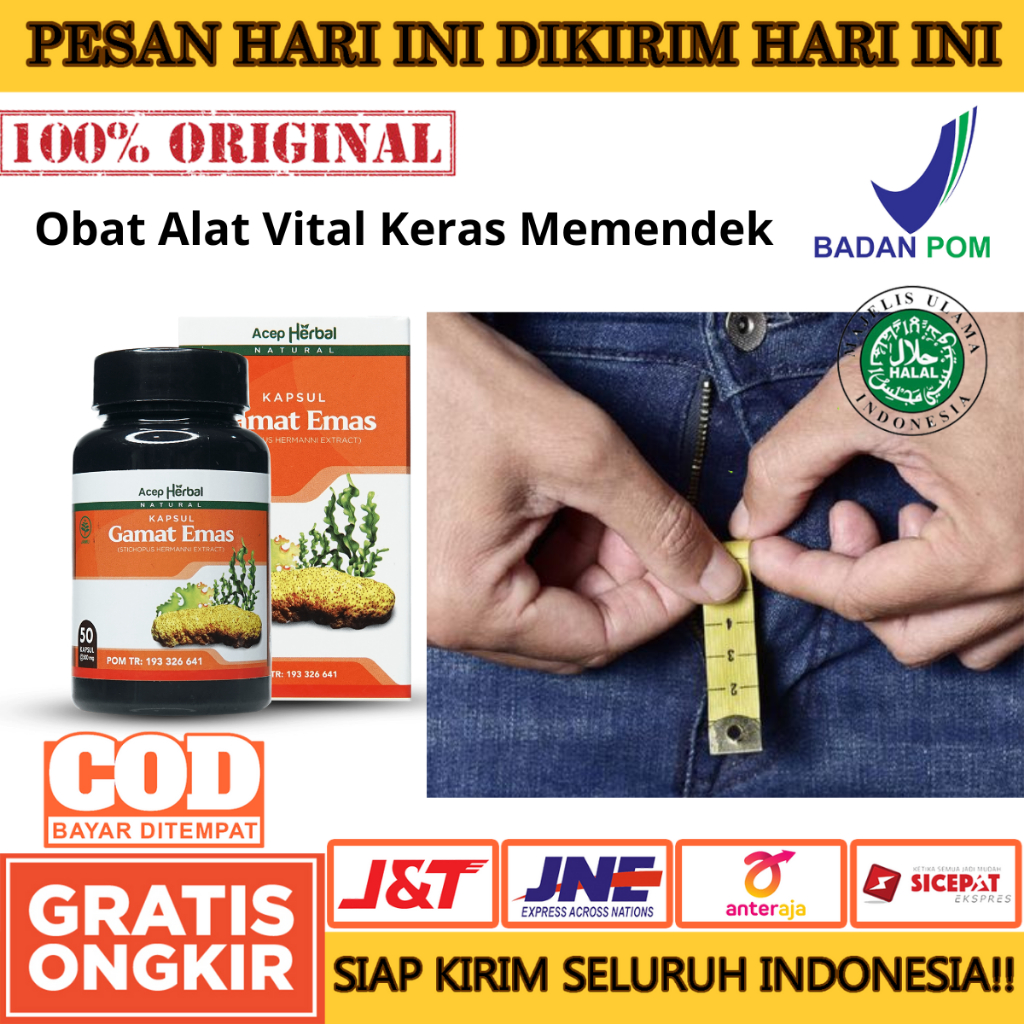 Gamat Emas Kapsul 100% Original - Obat Benjolan Silikon Di Penis, Alat Vital Keras Memendek, Pembers