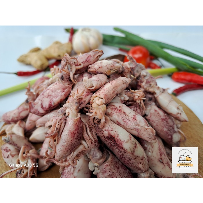 

ikan asin baby cumi / cumi asin / cumi rebus berat 250 gram