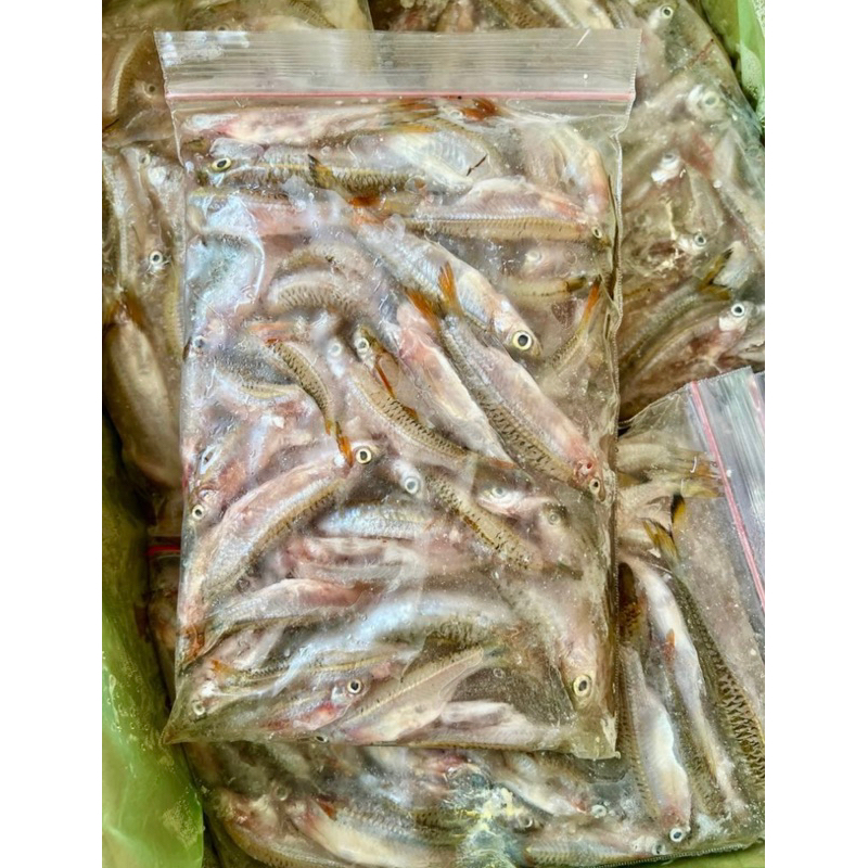 

Ikan Seluang Frozen 500 Gram