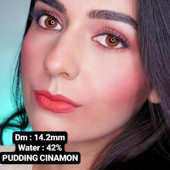 SOFTLENS PUDDING CINNAMON 14.00 MM ( -0.50 S/D -10.00 )