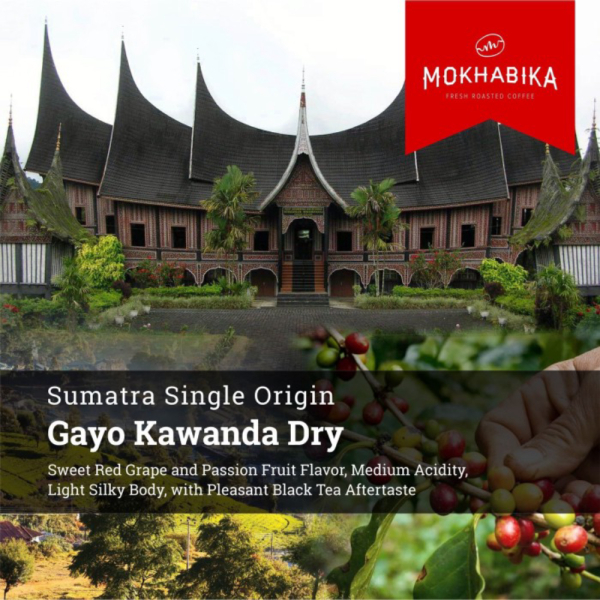 

Promo Mokhabika Arabica Coffee Gayo Kawanda Dry 1000 Gr Limited