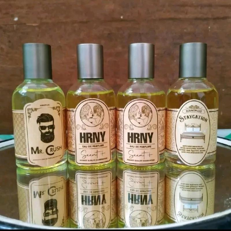 PARFUM SCENTPLUS HRNY/MR CRUSH/STAYCATION
