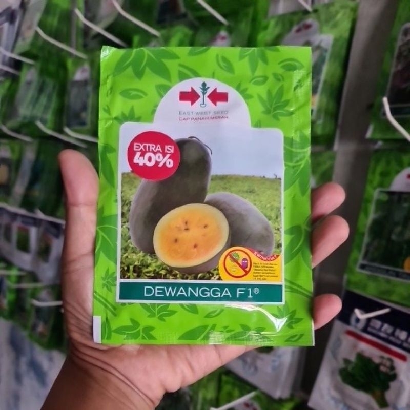 benih semangka inul DEWANGGA 20gr