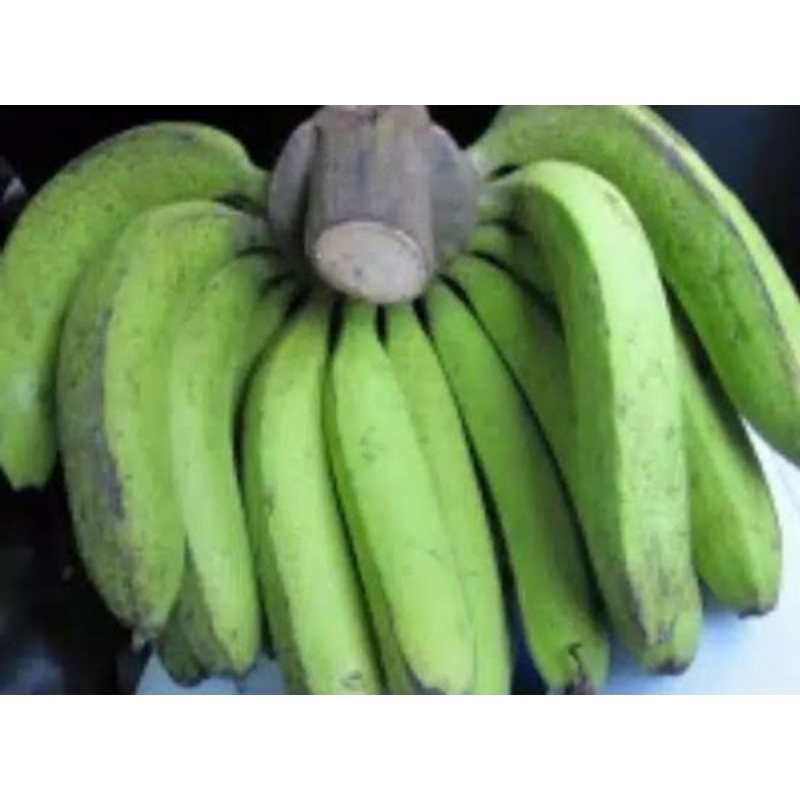 

PISANG NANGKA SETENGAH MATANG / 1KG