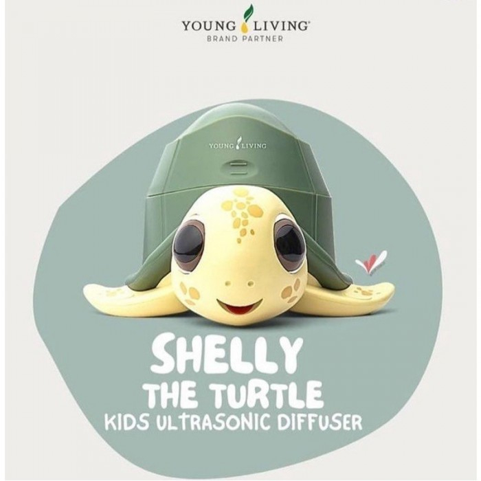 Shelly The Turtle Young Living Babymaniashop