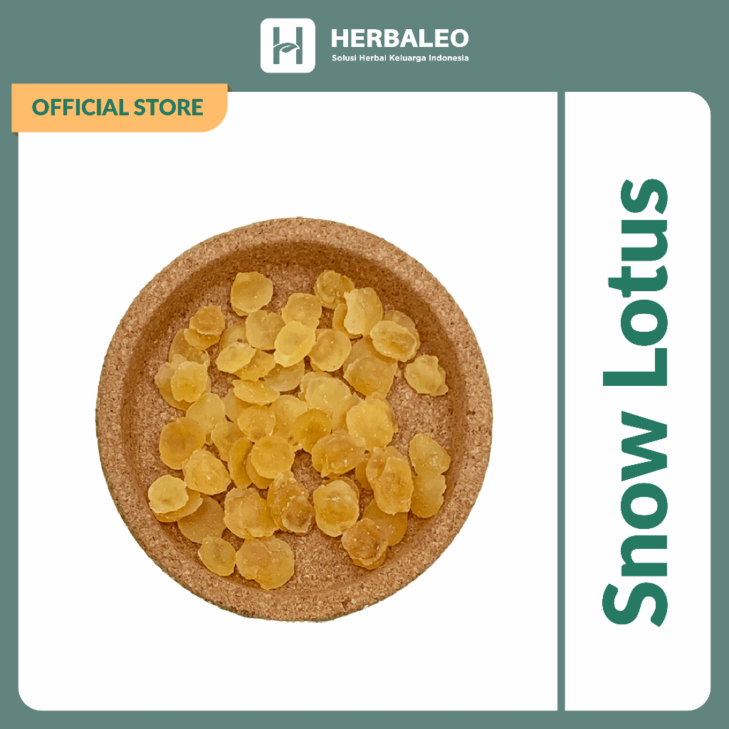 

Herbaleo - Snow Lotus / Xue Lian Zi (雪莲子) / Zao Jiao Mi (皂角米)