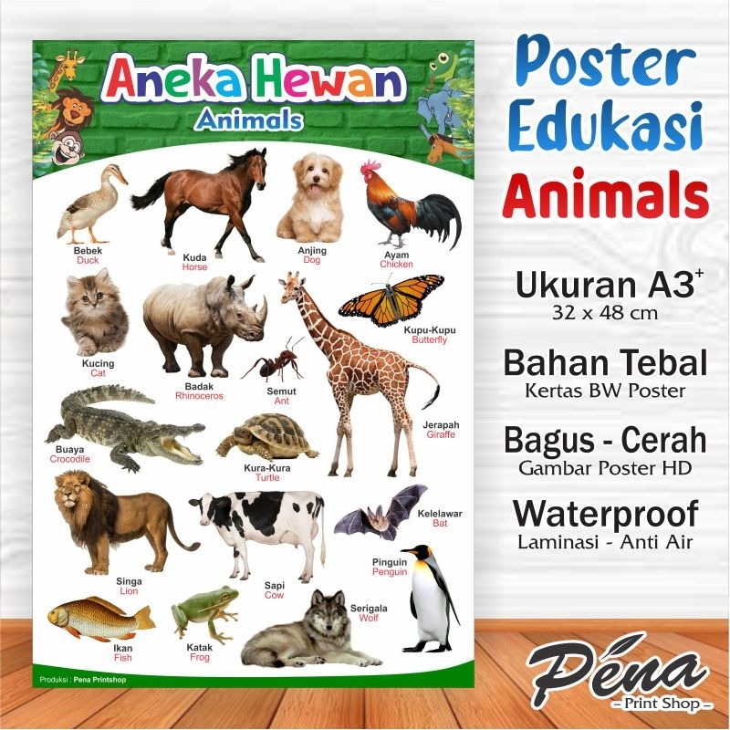 Poster Edukasi Anak / Poster Nama Hewan Animal / Poster Belajar Anak / Poster Dinding