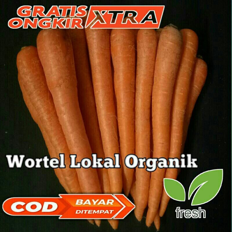 

wortel segar lokal sayur 1kg wortel brastagi import lokal buah organik frozen mini jumbo kualitas premium murah