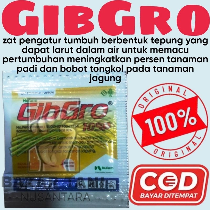 Zat Pengatur Tumbuh Buah GibGro 1Gram