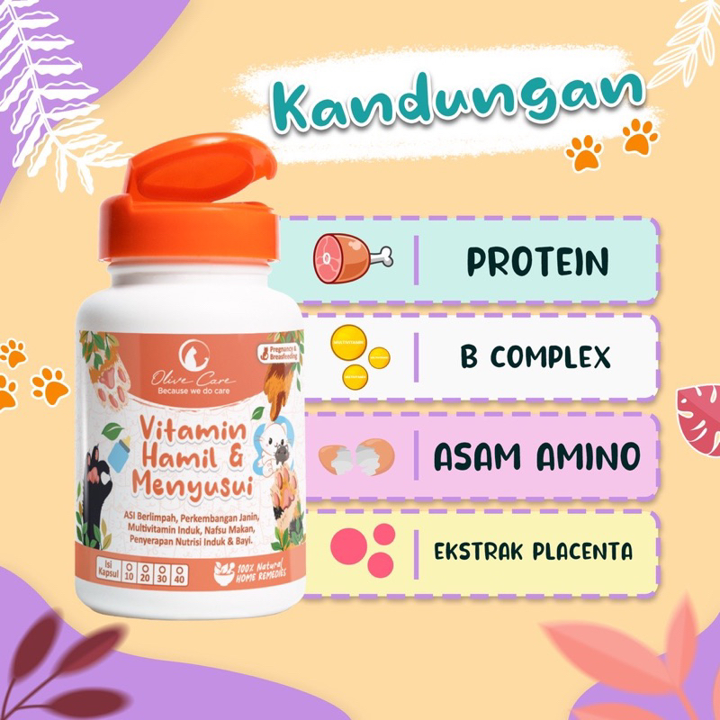 Olive Care Vitamin Kucing HAMIL &amp; MENYUSUI untuk Produksi Asi, Perkembangan Bayi, Multivitamin Induk Kucing dan Menjaga Nafsu Makan