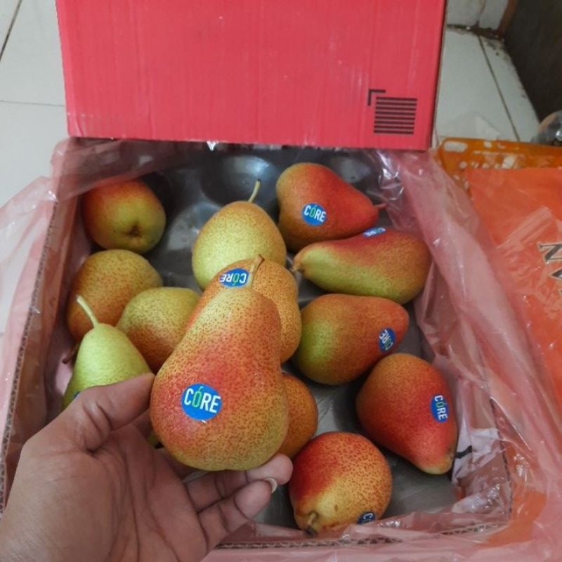 

pear forelle pir cheky /kg