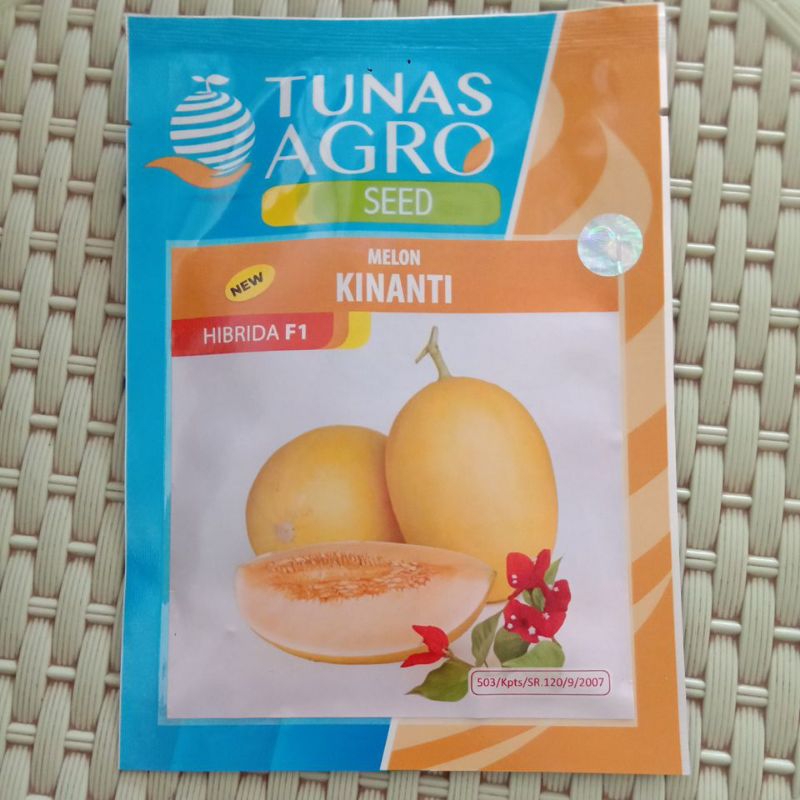 Benih Melon Hibrida F1 KINANTI