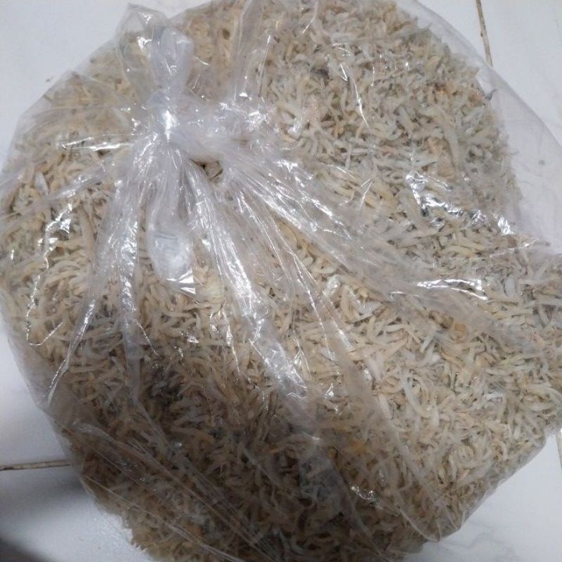 

Teri Medan Murah 1kg