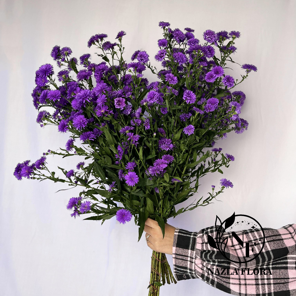 NAZLA Bunga Potong Pikok Ungu Hidup Segar