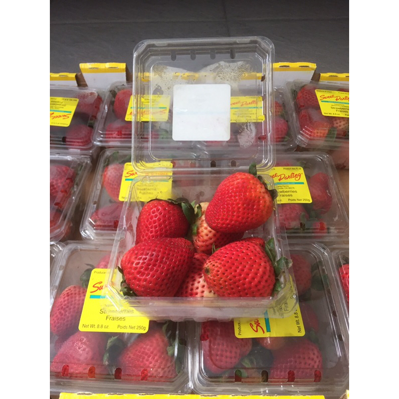 

Strawberry Sweet Darling USA 1 Dus (12 Pack) Fresh Import