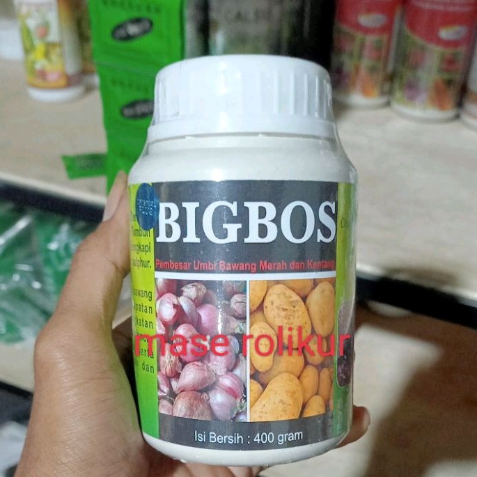 pupuk BIGBOS isi 400g zpt pembesar umbi bawang dan kentang