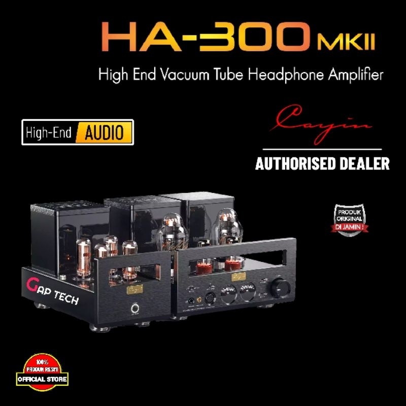 Cayin HA 300MK2 / HA300MK2 / HA 300 MKII High End Vacuum Tube Headphone Amplifier Original