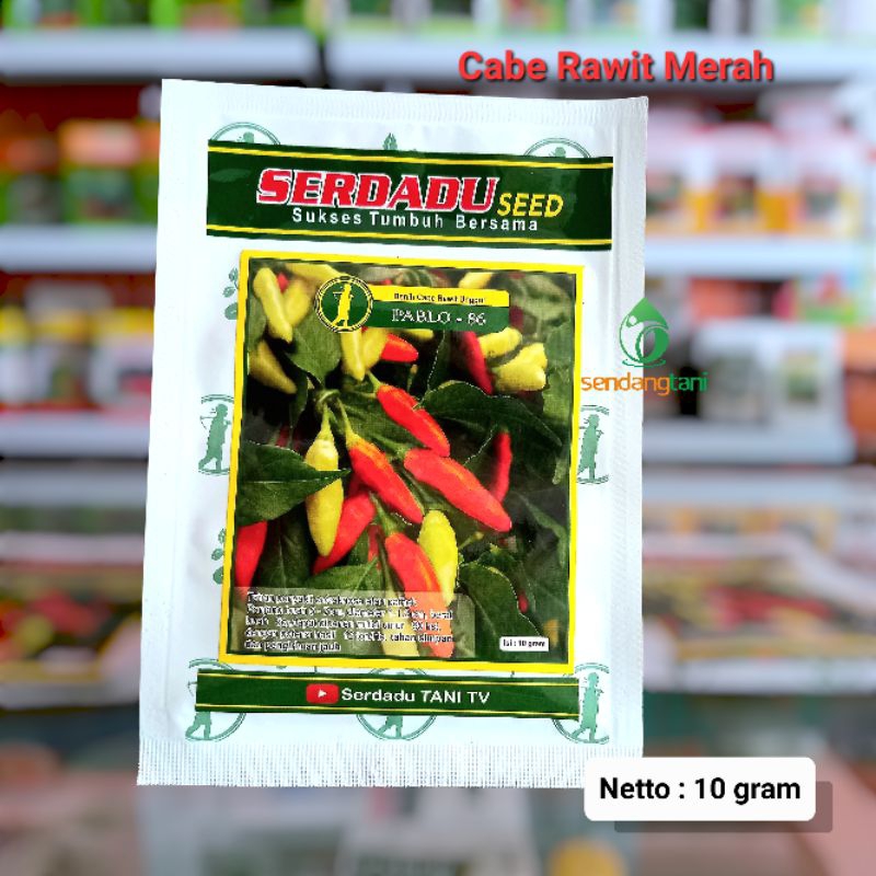 PABLO 86 Benih Bibit Cabe Rawit Merah Unggul tipe Ori yang Viral dari Serdadu Seed