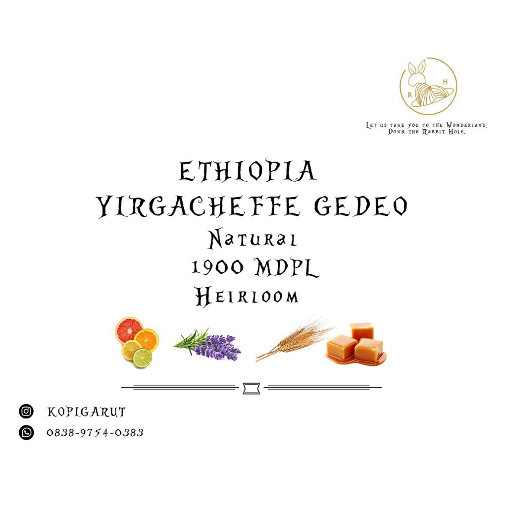 

Ethiopia Yirgacheffe Gedeo
