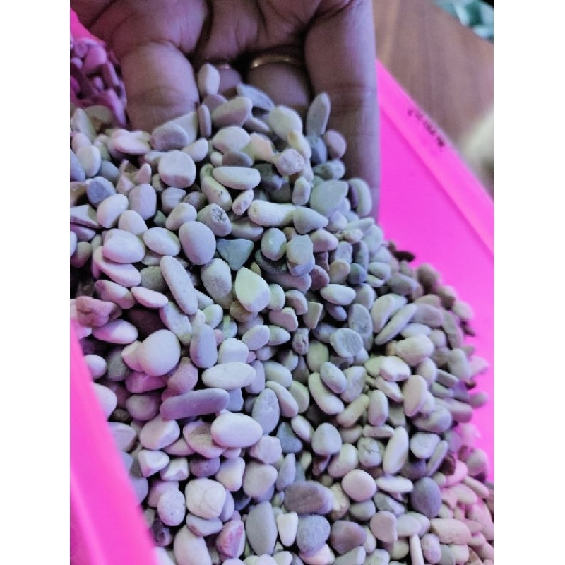 Batu pancawarna batu hiasan akuarium tanaman 1 kg Batu hias