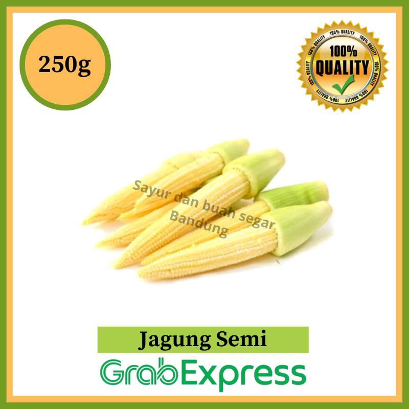 

Sayur Segar Jagung Semi - Baby Corn