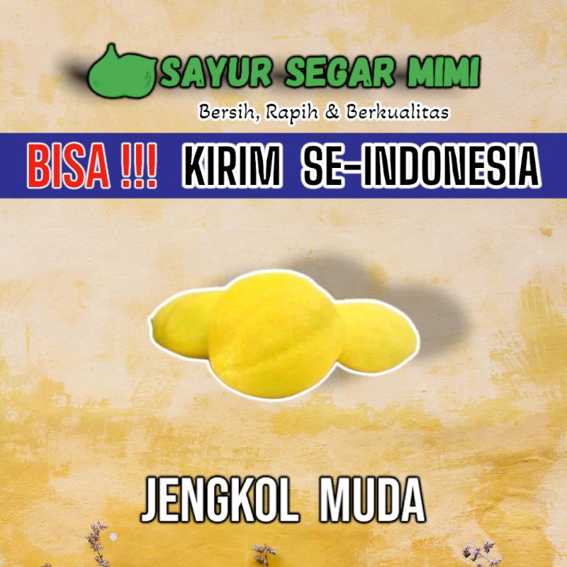 

Jengkol Muda / Jengkol Lalap / Jariang 250Gram - Sᴀʏᴜʀ Sᴇɢᴀʀ ♏ɪᴍɪ