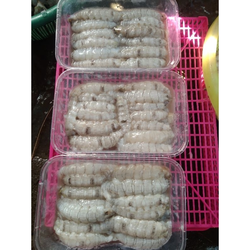 

DagingUdangmentis