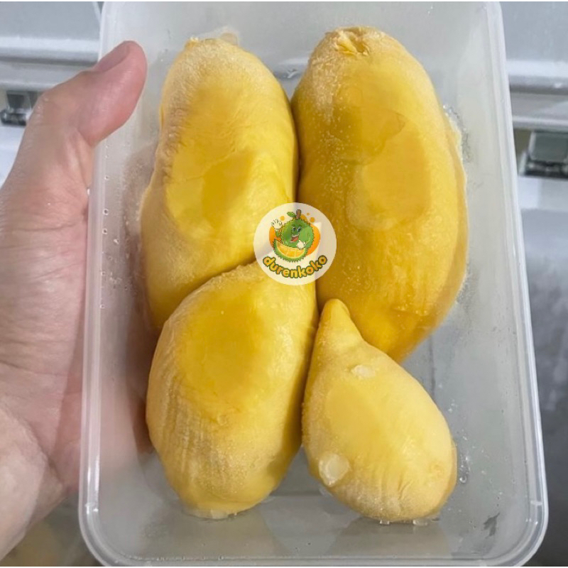 

Durian Kupas Petruk Palu Sulawesi / Duren Petruk / Durian Montong Palu