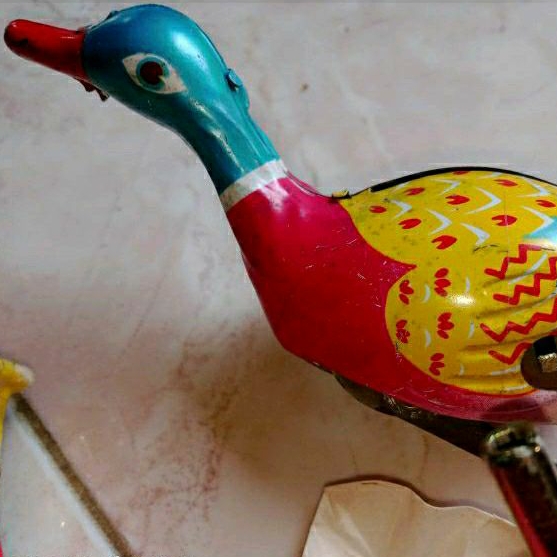 Tintoys Swimming Duck