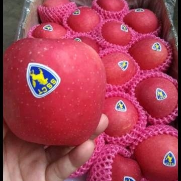 Buah Apel Fuji Premium 1kg