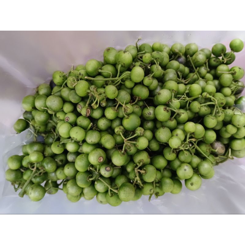 

lenca 100gr