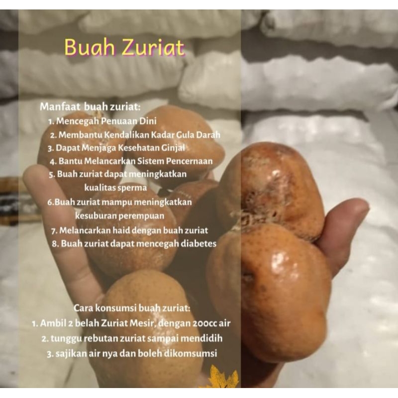 

TERMURAH 1kg BUAH ZURIAT PROMIL