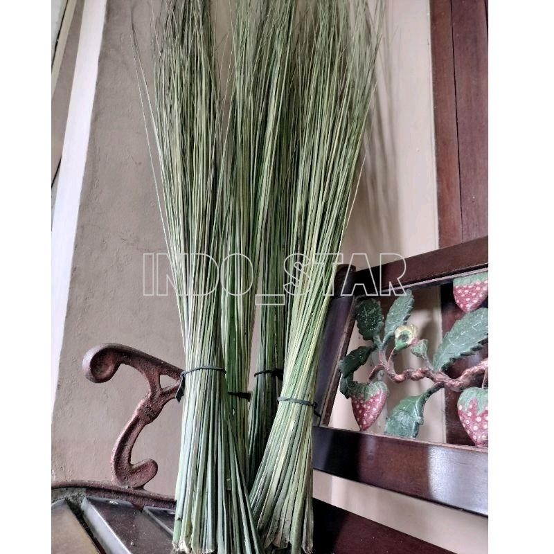 Sapu lidi aren asli / lidi aren asli kualitas super
