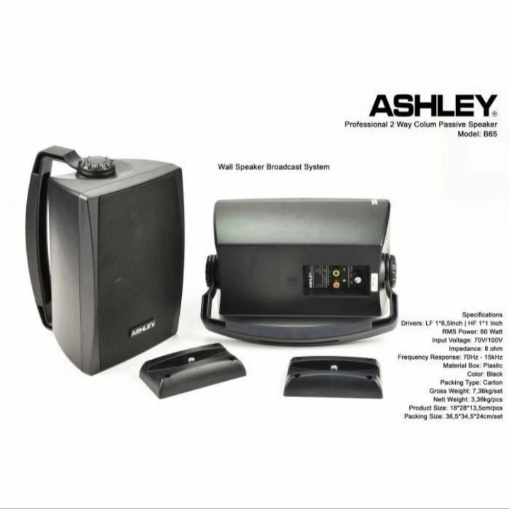 Speaker Pasif Dinding / Wall Ashley B65 Original