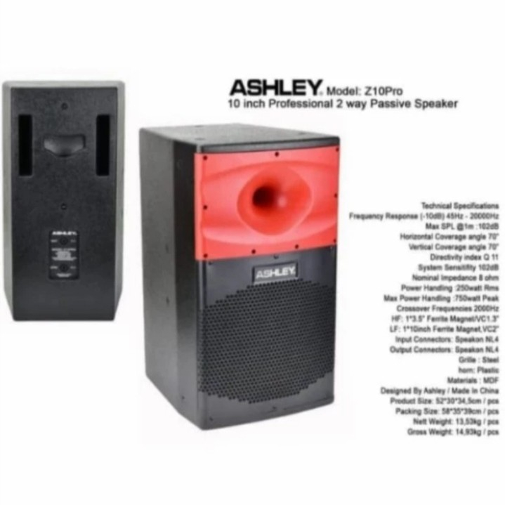 Speaker Pasif Ashley Z10 Pro ORIGINAL Terbaik 10 inch