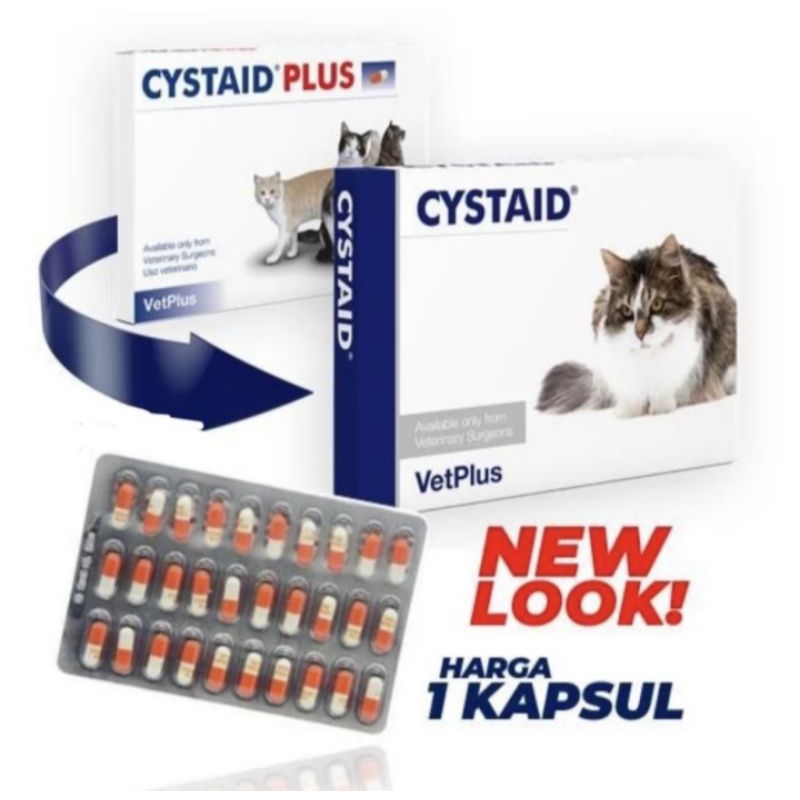 cyataid plus-vet plus obat saluran kencing kucing 1 box