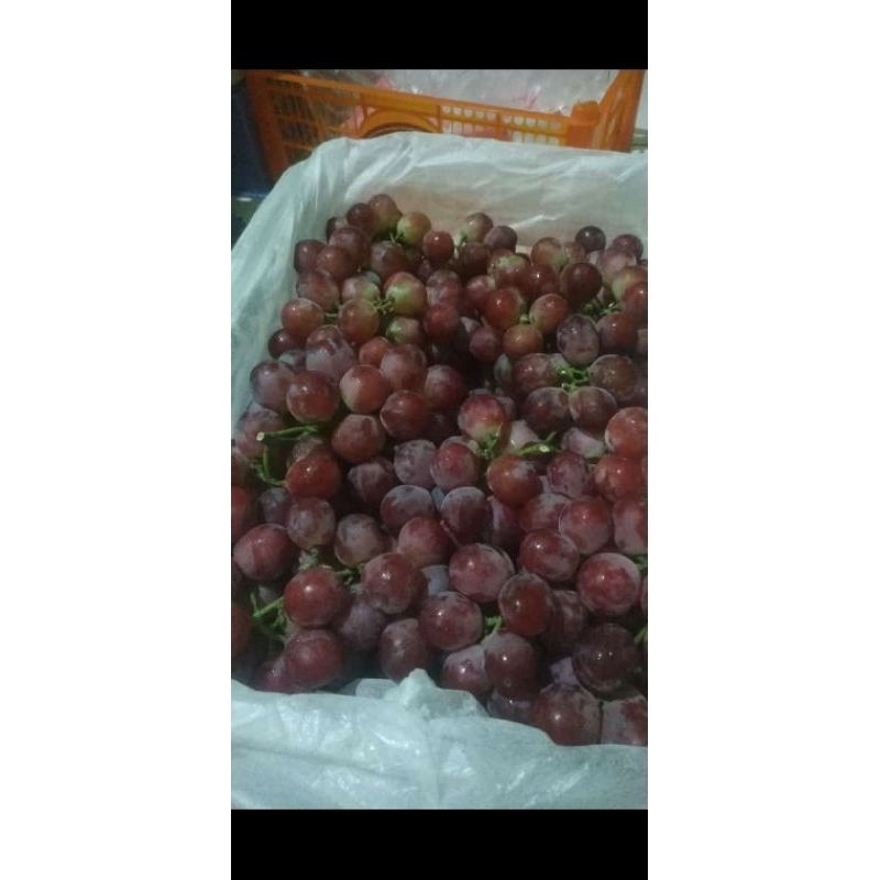 

Buah anggur red globe manis 1 kg