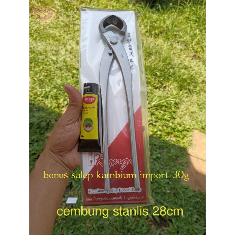 CATOK CEMBUNG RYUGA STANLIS 28cm