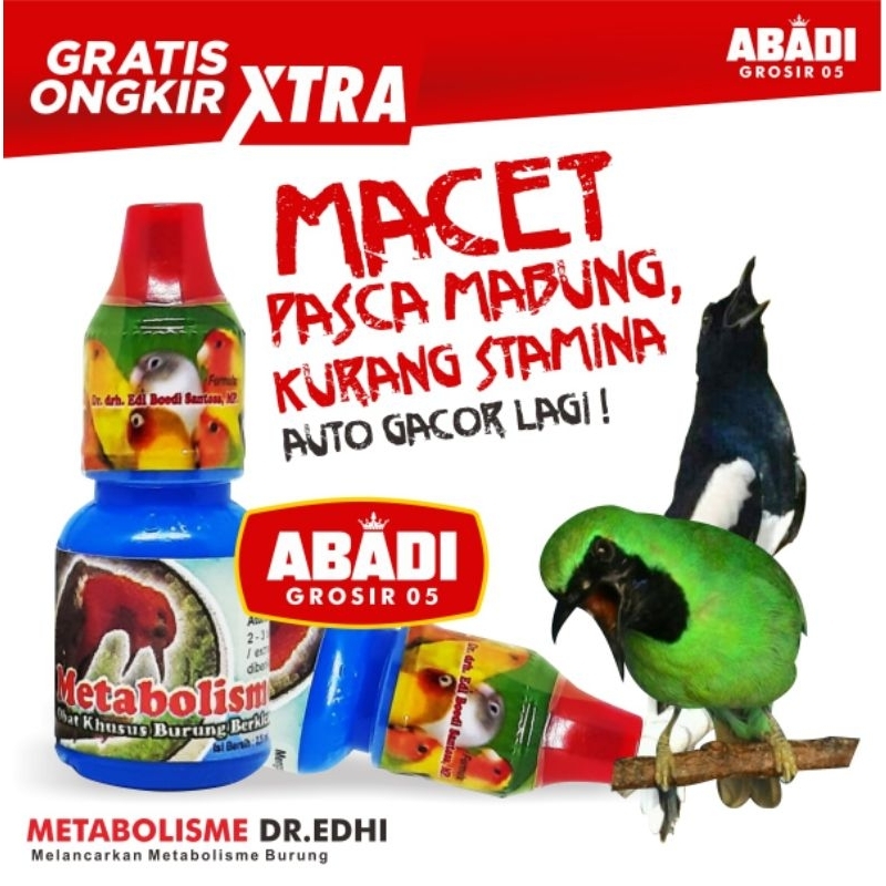 METABOLIS METABOLISME BURUNG PLECI MURAI BATU KENARI KICAU DR EDI