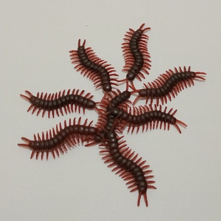 Mainan Prank Kelabang