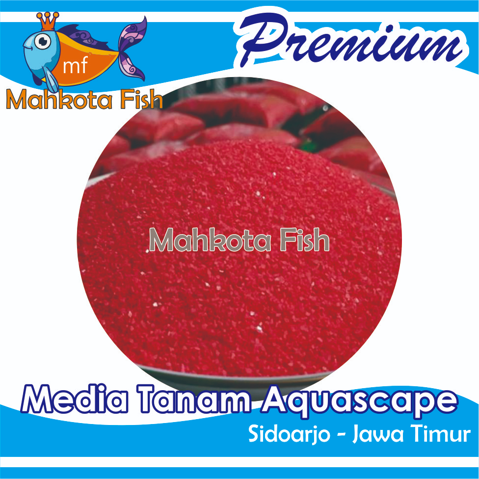 Pasir Silika MERAH | Pasir MERAH | Pasir Silica MERAH | Pasir Aquascape | Pasir Aquarium | Pasir Hia